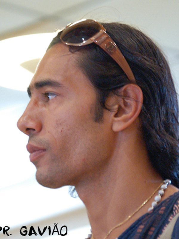 Mestre Gavião